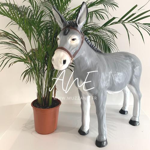 Showroom Anes - MUZZANO