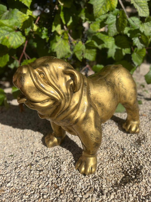 🔥 OFFRE LIMITÉE - Statue BULLDOG UK 30cm - GOLD 🔥 - MUZZANO
