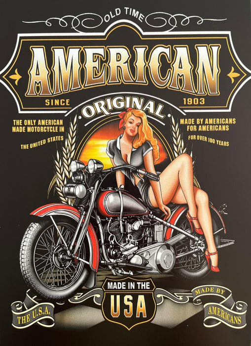 PLAQUE MÉTAL AMERICAN ORIGINAL 30X20 CM - PLAQUE DECORATIVE - MUZZANO