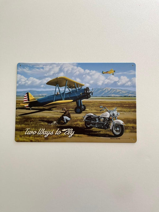 PLAQUE MÉTAL FLY 30X20 CM - PLAQUE DECORATIVE - MUZZANO