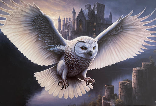 PLAQUE MÉTAL HIBOU 30X20 CM - PLAQUE DECORATIVE - MUZZANO