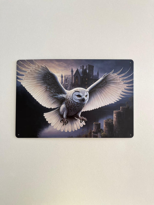 PLAQUE MÉTAL HIBOU 30X20 CM - PLAQUE DECORATIVE - MUZZANO