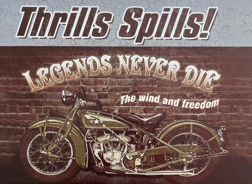 PLAQUE MÉTAL THRILLS 30X20 CM - PLAQUE DECORATIVE - MUZZANO