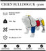 Sculpture Chien Bulldog UK Resine 30cm Statue - Mondrian - MUZZANO