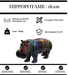 Sculpture Hippopotame Resine XXL 180cm Statue - Black Trash - MUZZANO